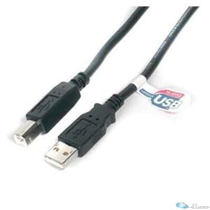 10ft USB Cable - A to B USB Cable - USB Printer Cable - type A to B USB Cable -